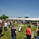 2 x CAC Nemzeti Kutyakiállítás – Pápa