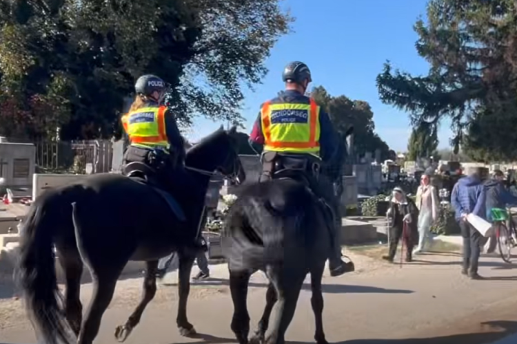 Lovas rendőrök a pápai temetőben - Videó