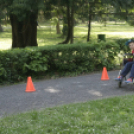 Mozdulj Pápa - 2016