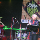 Pápai Cicege és Bornapok 2013 - Borszombat