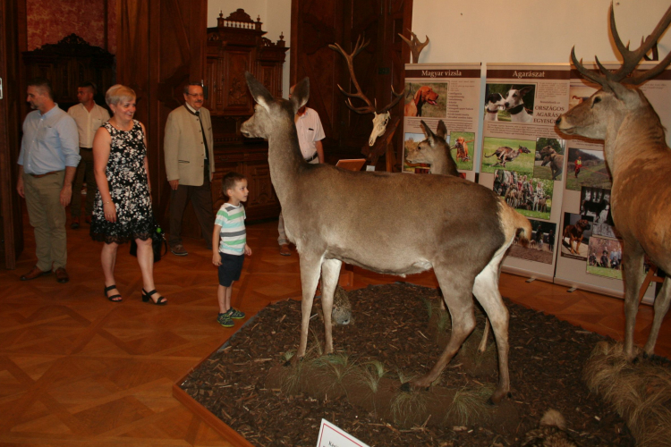 Vadászati kiállítás nyílt az Esterházy-kastélyban