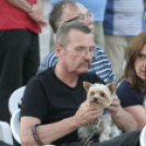 Csináljuk a Fesztivált - Szerda