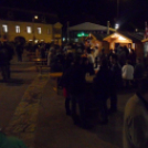 Szent Márton Napi Újbor Ünnepe - Pápa - 2013