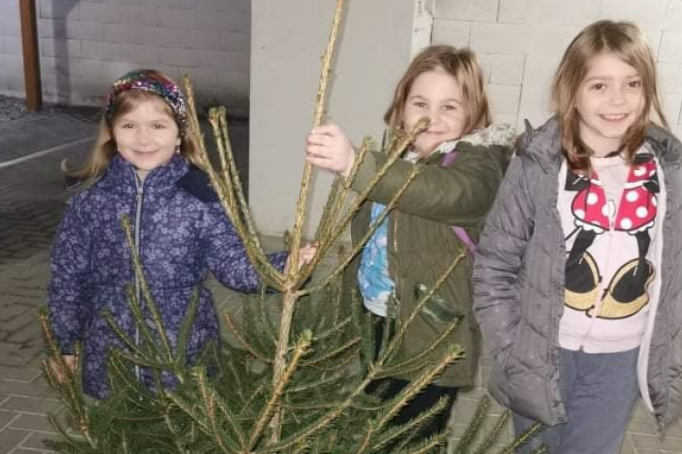 Fenyőfákat ajánlott fel egy pápai vállalkozó a Pápai Nagycsaládosok Egyesületének