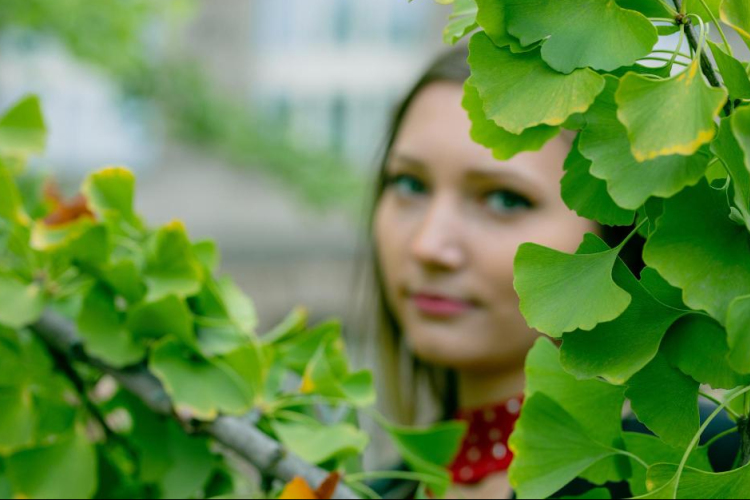 Szellemi frissesség a változó évszakokban – Koncentráció javítása ginkgo biloba kivonattal