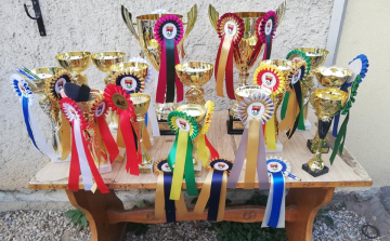 Országos bajnok lett a Pápai Lovas Club!