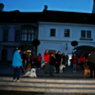 Flashmob az Állatok Világnapján - Pápa