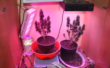 Kábítószer-terjesztők és fogyasztók rendőrkézen