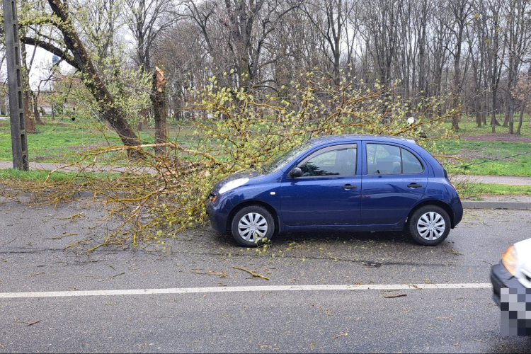 Vihar: Pápán autóra dőlt egy fa