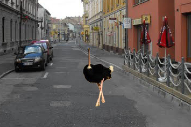 Strucc a belvárosban!