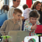 Lego Kiállítás Pápán