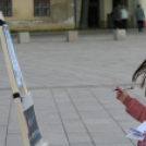 Csillagászat Napja - Pápa