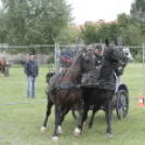 Pápai Agrárexpo 2017 - Szombat