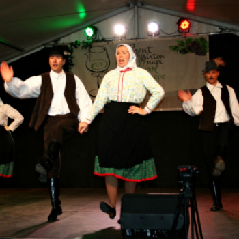 Szent Márton-napi Újbor Ünnepe - Pápa - 2018