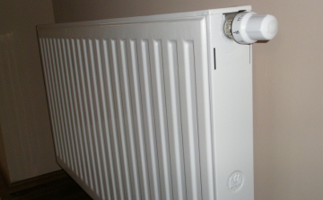 Volt élettársát lopta meg