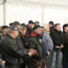 IV. Pápai Böjtelő Böllérverseny (2017)