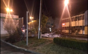 Megérkezett a szélvihar, úttestre dőlt egy fa a Budai Nagy Antal úton