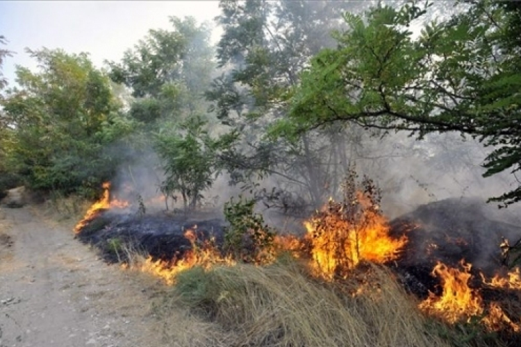 Négy megyében tűzgyújtási tilalmat rendeltek el