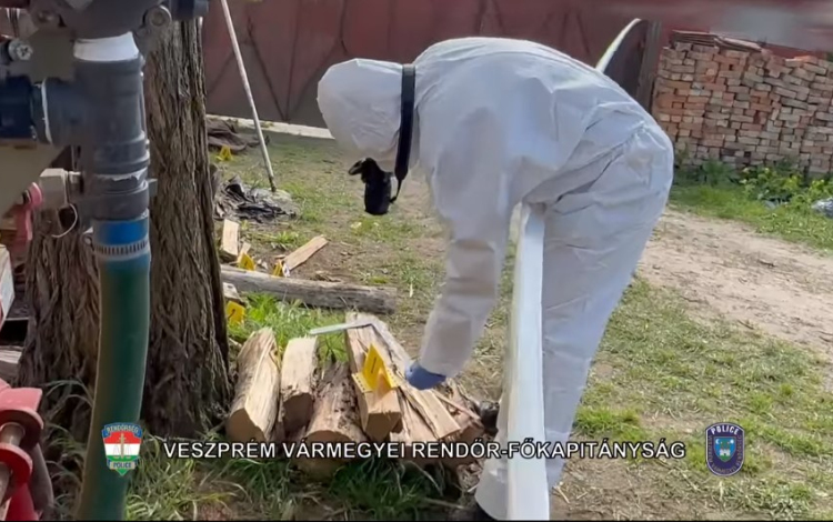 Kis híján megölte a saját édesanyját a Pápa környéki faluban! - Videó