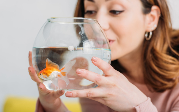Akvarisztika tippek kezdő haltartóknak