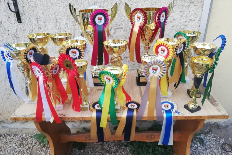 Országos bajnok lett a Pápai Lovas Club!