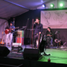 Szent Márton-napi Újbor Ünnepe - Pápa