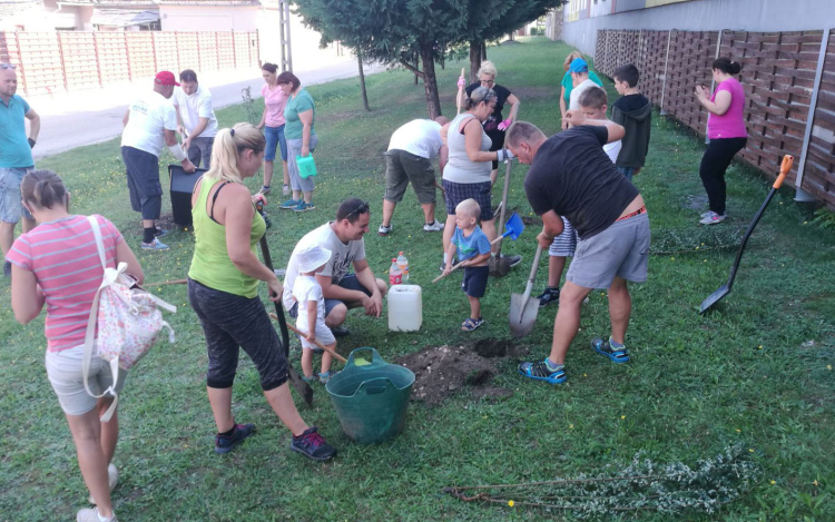 Több tucat facsemetét ültettek el pápai önkéntesek