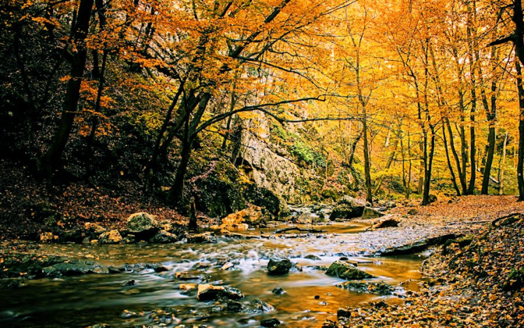 Dobogós az ország legszebb erdei között a Cuha völgye
