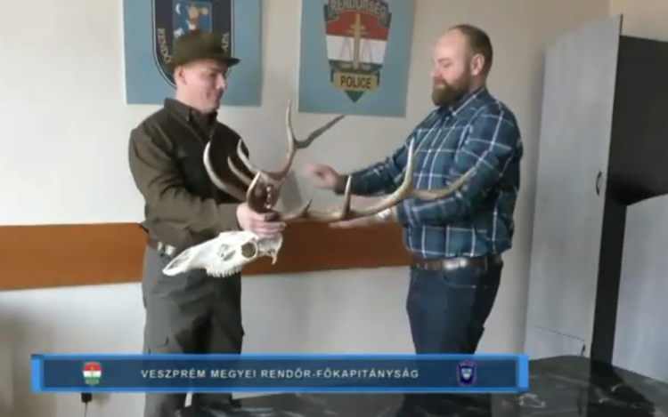 Pápai Rendőrök visszaadták a trófeát a vadásztársaságnak