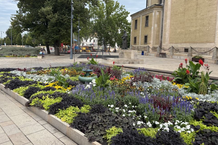 Tiszta és Virágos Veszprém Vármegyéért - Kiváló minősítést kapott Pápa