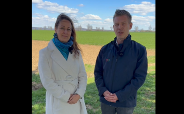 Magyar Péter és Kapitány István is üzent a pápaiaknak