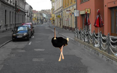 Strucc a belvárosban!