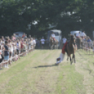 Jótékonysági Sport és Családi Nap - Tapolcafő