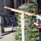 Csillagászat Napja Pápán