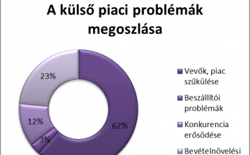 A belső kihívások jobban fékezik a magyar cégeket, mint a válság
