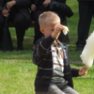 Civil Majális - Pápa - 2013