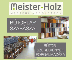 Meister Holz 2017/2